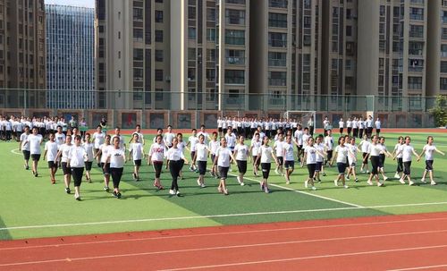 运动会,校园,比赛,凌乱,裁判,10,运动员,到位,计分,篮球场