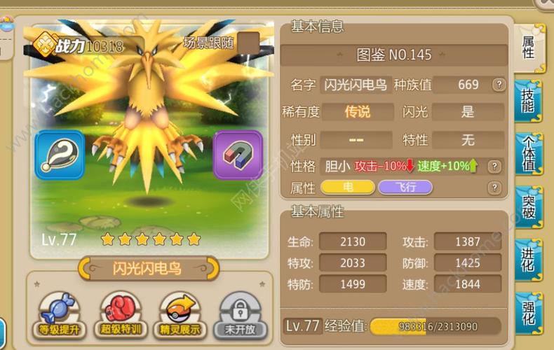 口袋妖怪,制版,玩家,游戏,全新,任天堂,10,喜爱,体验,发布