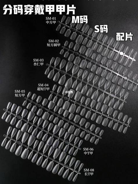 专线,欧亚,编码,欧洲,货物,物流,运输,10,跟踪,系统