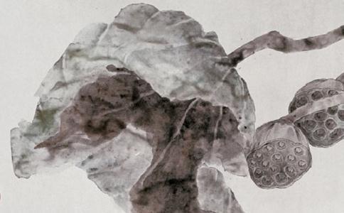 白骨,死亡,修行者,生命,无常,修行,观察,通过观察,珍惜,思考