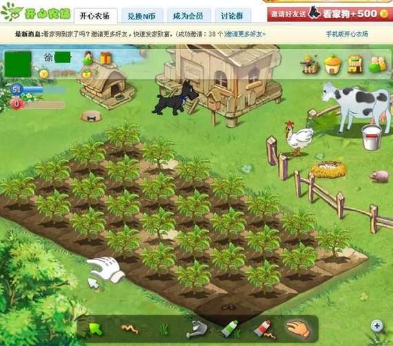 郁金香,qq,花朵,种植,农场,颜色,生长,10,多样,美丽