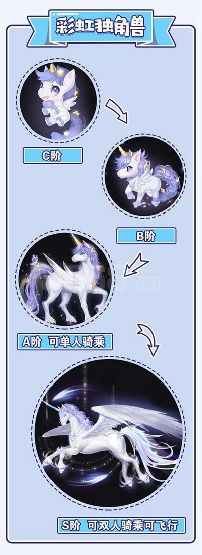 宠物,密度,玩家,QQ,提升,可以,游戏,攻略,洗澡,食物
