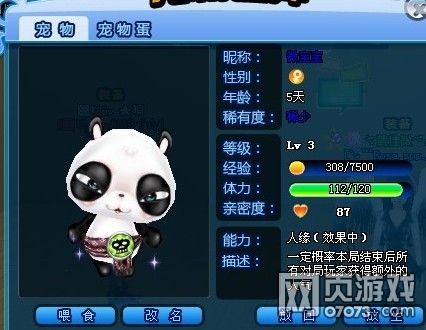 宠物,强化,玩家,化石,qq,效果,提升,需要,技能,属性